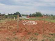 Terreno / Lote para Venda em Piracicaba/SP Vila Nova