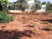 Terreno / Lote para Venda em Pirapozinho/SP Centro