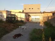 Terreno / Lote para Venda em Piraquara/PR Guarituba