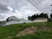 Terreno / Lote para Venda em Ponta Grossa/PR Estrela