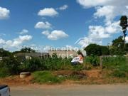 Terreno / Lote para Venda em Ponta Grossa/PR Piriquitos