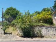 Terreno / Lote para Venda em Ponta Grossa/PR Uvaranas