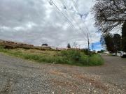 Terreno / Lote para Venda em Ponta Grossa/PR Uvaranas