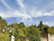 Terreno / Lote para Venda em Ponta Grossa/PR Uvaranas