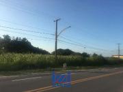 Terreno / Lote para Venda em Pontal do Paraná/PR Pontal...