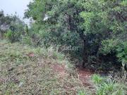 Terreno / Lote para Venda em Porto Alegre/RS Aberta dos...