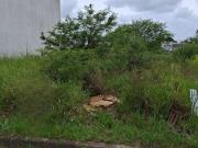 Terreno / Lote para Venda em Porto Alegre/RS Aberta dos...