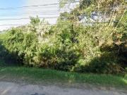 Terreno / Lote para Venda em Porto Alegre/RS Belém Novo