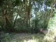 Terreno / Lote para Venda em Porto Alegre/RS Belém Novo