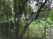 Terreno / Lote para Venda em Porto Alegre/RS Boa Vista
