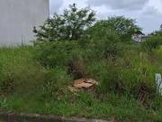 Terreno / Lote para Venda em Porto Alegre/RS Cavalhada