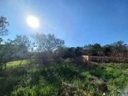 Terreno / Lote para Venda em Porto Alegre/RS Espírito Santo