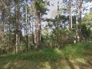 Terreno / Lote para Venda em Porto Alegre/RS Hípica