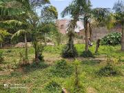 Terreno / Lote para Venda em Porto Alegre/RS Hípica