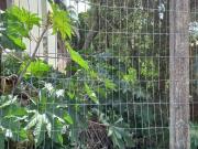 Terreno / Lote para Venda em Porto Alegre/RS Jardim Isabel