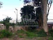 Terreno / Lote para Venda em Porto Alegre/RS Lageado