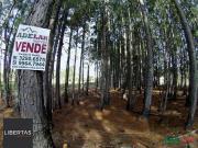 Terreno / Lote para Venda em Porto Alegre/RS Lami