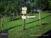 Terreno / Lote para Venda em Porto Alegre/RS Lomba do...