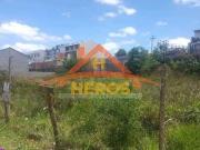 Terreno / Lote para Venda em Porto Alegre/RS Protásio Alves