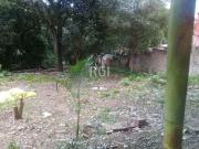 Terreno / Lote para Venda em Porto Alegre/RS Teresópolis