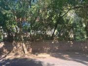 Terreno / Lote para Venda em Porto Alegre/RS Tristeza