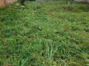 Terreno / Lote para Venda em Porto Alegre/RS Vila Jardim