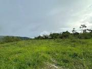 Terreno / Lote para Venda em Porto Belo/SC Sertão da...