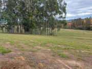 Terreno / Lote para Venda em Porto Feliz/SP Centro