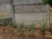 Terreno / Lote para Venda em Pouso Alegre/MG Reserva de...