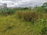 Terreno / Lote para Venda em Pouso Alegre/MG Residencial...