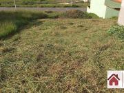 Terreno / Lote para Venda em Pouso Alegre/MG Santo...