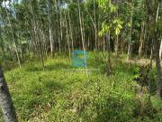 Terreno / Lote para Venda em Praia Grande/SC Alto da...