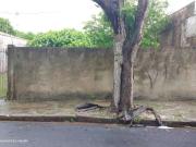 Terreno / Lote para Venda em Presidente Prudente/SP...