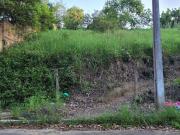 Terreno / Lote para Venda em Registro/SP Jardim São Conrado