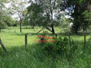 Terreno / Lote para Venda em Ribeirão das Neves/MG Vila...