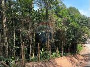Terreno / Lote para Venda em Ribeirão Pires/SP Santa Luzia