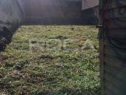 Terreno / Lote para Venda em Ribeirão Preto/SP Jardim Macedo