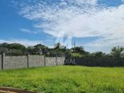 Terreno / Lote para Venda em Ribeirão Preto/SP Santa Martha