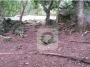 Terreno / Lote para Venda em Rio de Janeiro/RJ Camorim