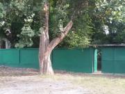 Terreno / Lote para Venda em Rio de Janeiro/RJ Curicica