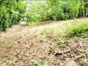 Terreno / Lote para Venda em Rio de Janeiro/RJ Freguesia... Terreno / Lote para Venda em Rio de Janeiro/RJ Freguesia...