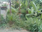 Terreno / Lote para Venda em Rio de Janeiro/RJ Guaratiba