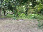 Terreno / Lote para Venda em Rio de Janeiro/RJ Jacarepaguá