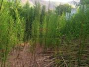 Terreno / Lote para Venda em Rio de Janeiro/RJ Praça Seca