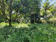 Terreno / Lote para Venda em Rio de Janeiro/RJ Recreio...