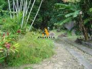 Terreno / Lote para Venda em Rio de Janeiro/RJ Recreio...