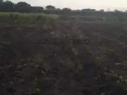 Terreno / Lote para Venda em Rio de Janeiro/RJ Santa Cruz