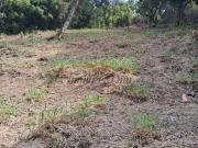 Terreno / Lote para Venda em Rio de Janeiro/RJ Tanque