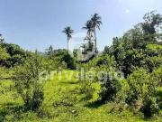 Terreno / Lote para Venda em Rio de Janeiro/RJ Vargem Grande