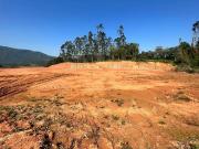 Terreno / Lote para Venda em Rio dos Cedros/SC Santo Antônio
